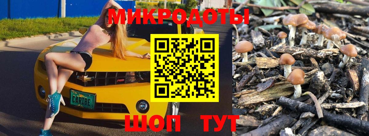 Сарапул  Псилоцибиновые грибы GOLDEN TEACHER  Вход с VPN 