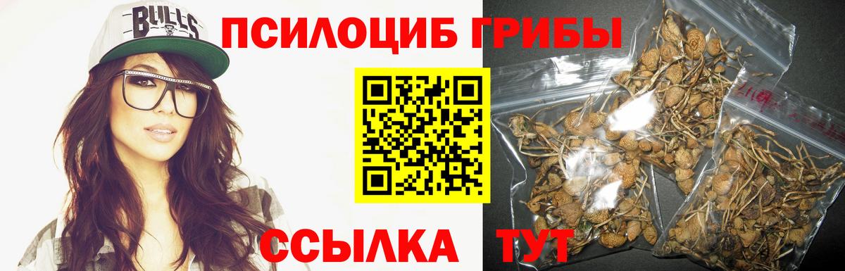 Галлюциногенные грибы Psilocybe Сарапул